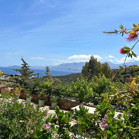 Fissi Villas Agritourism Accommodation Near The Sea Ajos Nikolaos Zewnętrze zdjęcie