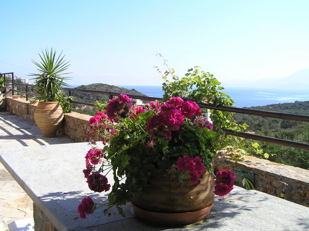 Fissi Villas Agritourism Accommodation Near The Sea Ajos Nikolaos Zewnętrze zdjęcie